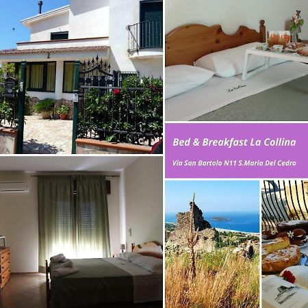 La Collina Bed and Breakfast Santa Maria Del Cedro Eksteriør billede