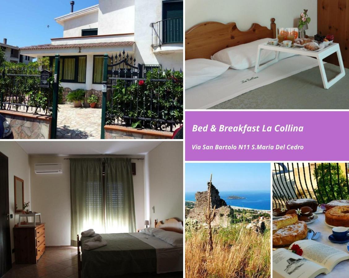 La Collina Bed and Breakfast Santa Maria Del Cedro Eksteriør billede
